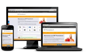 Trouvez des codes promos pour les thème WordPress sur WP Promotions