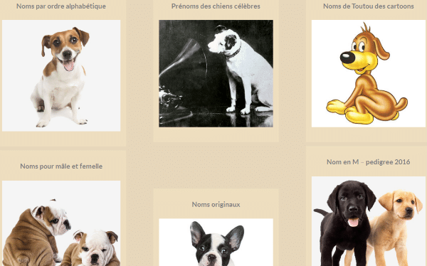 Guide sur les noms pour chiens