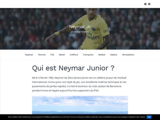 Biographie et vie privée de Neymar