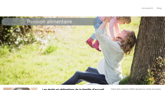 Portail web sur le droit de la famille